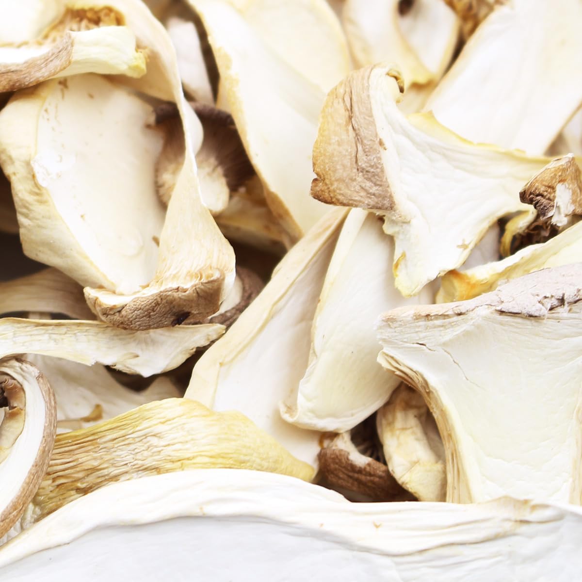 Harmony House Dried Royal Tspirit-inspired flavorpet Mushrooms, 1.5 oz Quart Size Jar