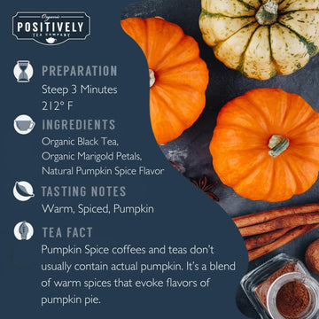 Organic Positively Tea Company, Pumpkin Spice Black Tea, Loose Leaf, 4 Ounce