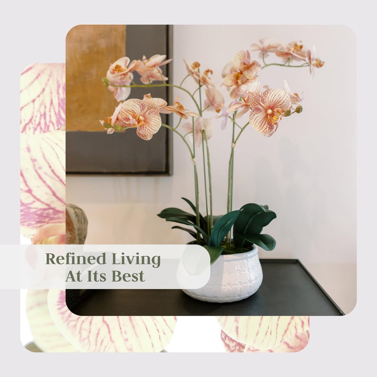 Cg Hunter Faux Orange Orchid Plant, Premium Artificial Indoor Flower Display Stands 23   , Beautiful Sculptural Blooms That Last