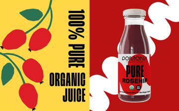 Pomona Organic Juices Pure Rosehip Juice 8.4 Ounce Bottle (Pack of 12) Cold Pressed Organic Juice Non-GMO No Sugar Added Not from Concentrate Gluten Free Kosher Certified Preservative Free
