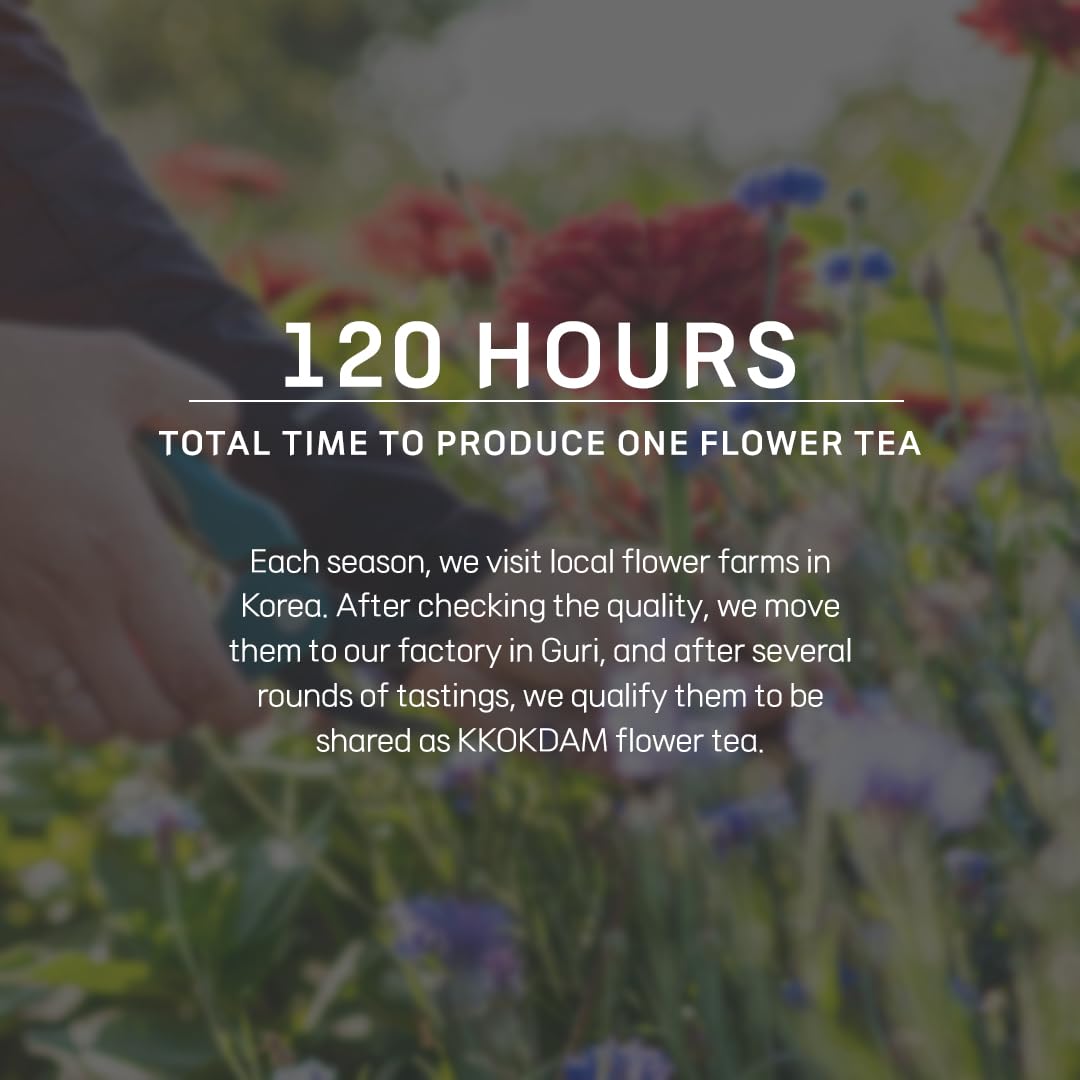 KKOKDAM Tea Gift Set - Chrysanthemum Flower Tea Stick - Loose Leaf Tea Set, Blooming Tea Flowers, Korean Tea Set, Unique Tea Gif