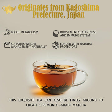 Sencha Green Tea - Loose Leaf Japanese Tea From Kagoshima - Ceremonial Grade Matcha Alternative - Detox & Immune Support Drink -