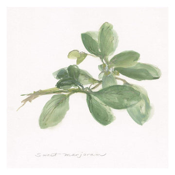 Sweet Marjoram -Paper Art-26''X26''
