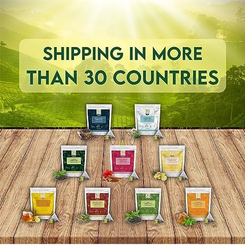 Tea Leaf & Co. Mint Green Tea Bags - Spearmint & Peppermint - Low Caffeine - 100 Teabags (7.055oz/200gm) - Gluten Free