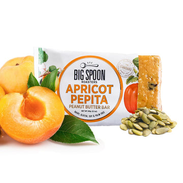 Big Spoon Roasters Nut Butter Bars Low Carb, High Protein Bars With Non Gmo Pea Protein Energy Bars With Peanut & Pepita Nut But