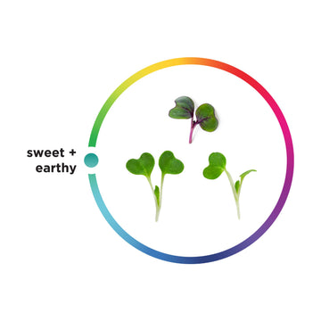 AeroFarms, Microgreens Super Mix Hearty Kale Cabbage Conventional, 2 Ounce