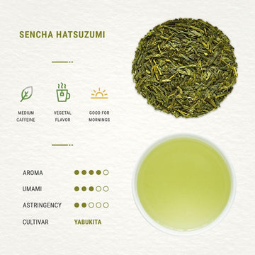 Senbird Organic Sencha - Japanese Green Tea - From Shizuoka, Japan - Loose Leaf Tea In Airtight Tea Tin (3.5Oz/100G)
