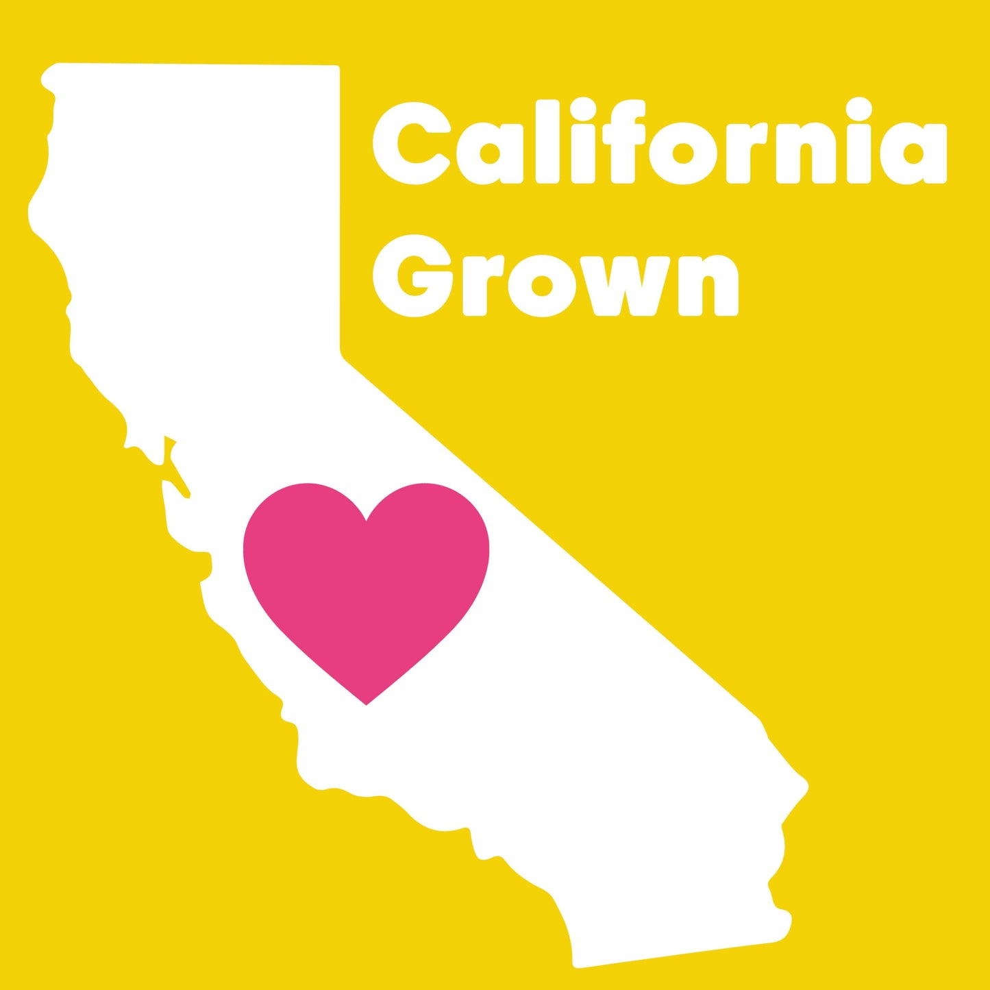 Wilderness Poets, Organic Blanched Almonds - Whole California-Grown Almond Nuts With No Skins - 5 Pound (Pack Of 4)