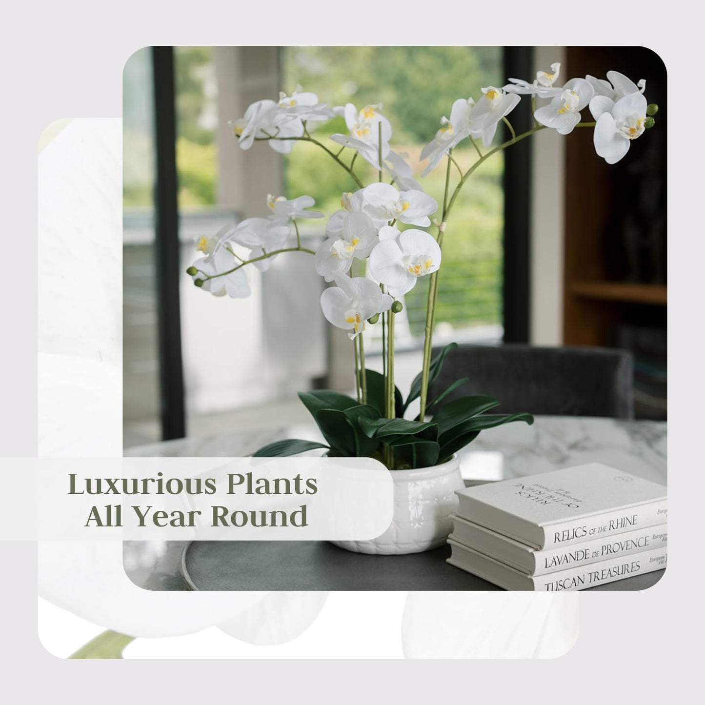 Cg Hunter Faux White Orchid Plant, Premium Artificial Indoor Flower Display Stands 23 , Beautiful Sculptural Blooms That Lasts
