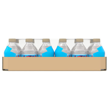 Splash Refresher Wild Berry Flavor Water Beverage, 8 Fl Oz Plastic Bottles (24 Count)