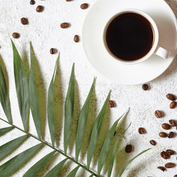 Two Rivers Coffee Chocolate Coconut Flavored Ground Coffee, Perfectly Balanced, Always Smooth, Made With 100% Arabica Beans - Fl