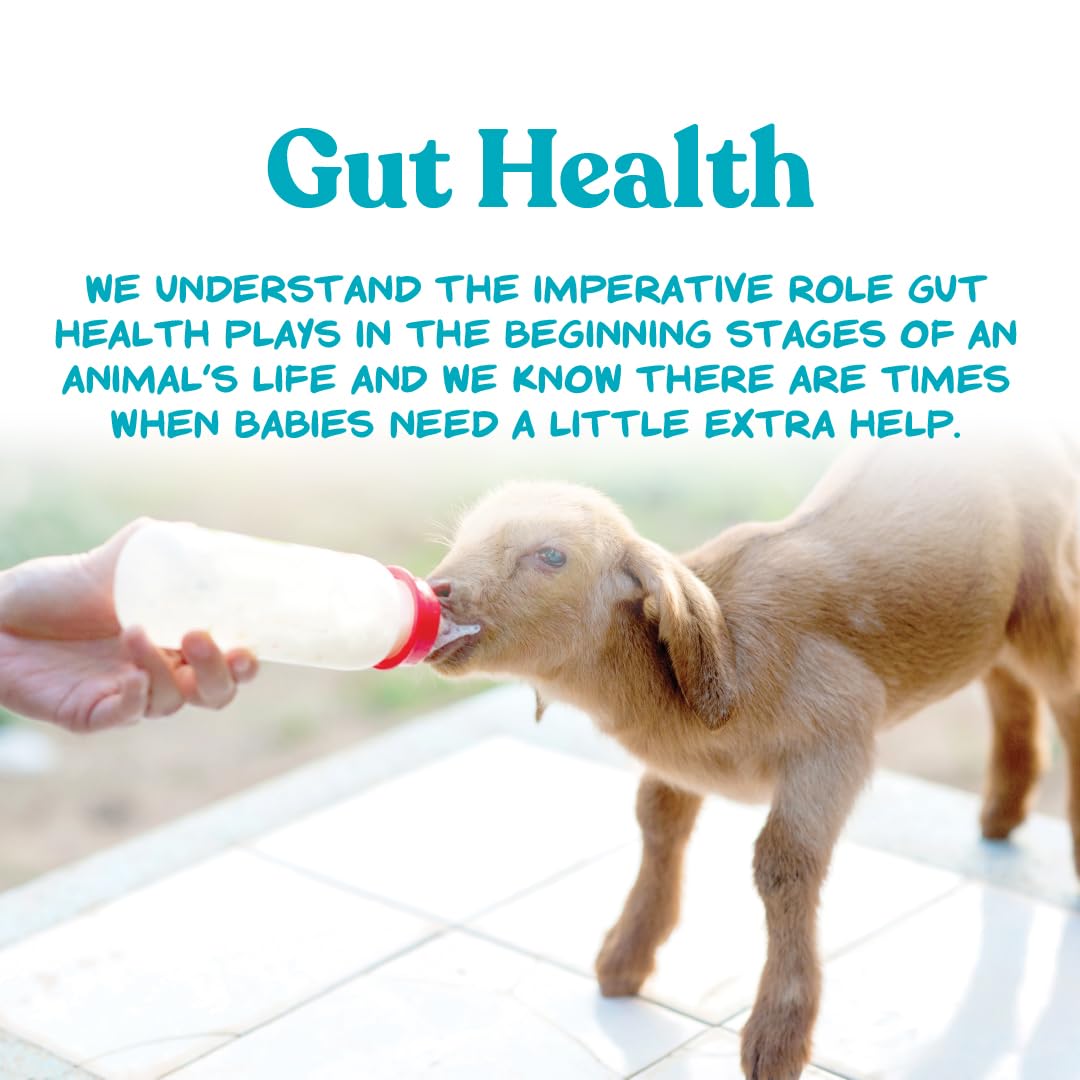 Manna Pro Goat Kid Milk Replacer - High In Protein To Support Growth - Powered By Opti-Gut To Support Gut Health & Digestion - E