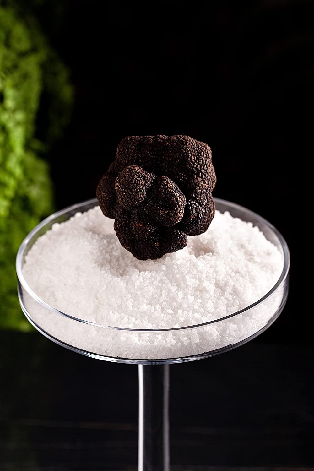 La Rustichella - Black Truffle Pat 3.17 oz (90 gr) - 100% Made in Italy | Vegan Gluten-Free Cholesterol-Free