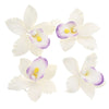 Global Sugar Art Pearly Orchid Sugar Cake Flowers, Large White With Purple, 4 Count By Chef Alan Tetreault