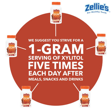 Zellie'S | 100% Xylitol Sugar Free Cinnamon Chewing Gum | Cinnamon Flavor (100 Count (Pack Of 1))