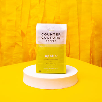 Counter Culture Coffee - Fresh Roasted Certified Organic Whole Bean Coffee (Kosher) (Apollo Double Pack)