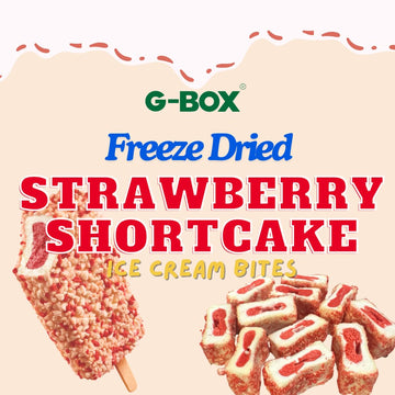 G-Box Freeze Dried Ice Cream| Crunch Strawberry Shortcake Ice Cream Bites - Perfect For Camping, Outdoor, And Party - Air-Tight