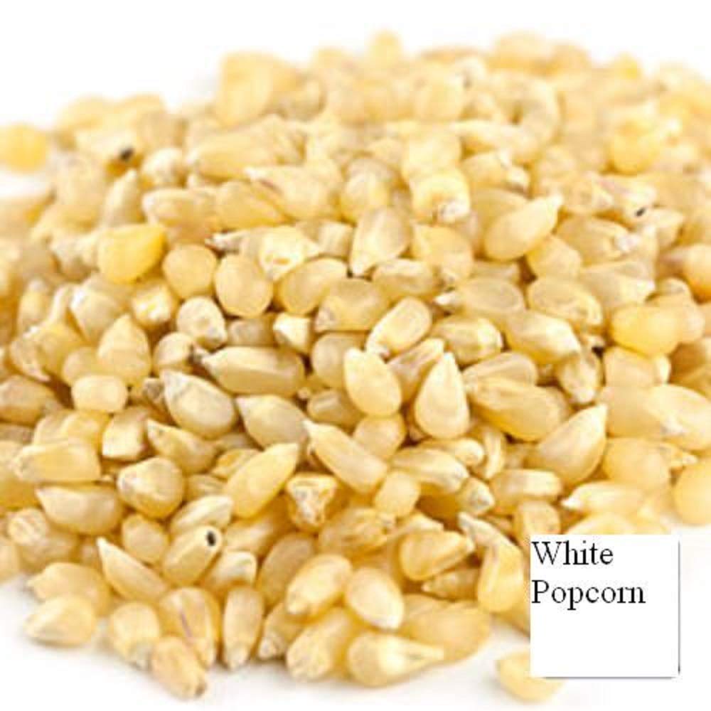 Unpopped Popcorn Kernels (Baby White, 4 LB)