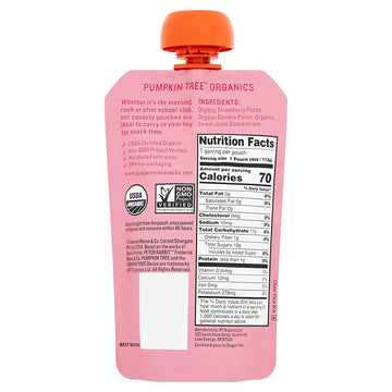Pumpkin Tree Peter Rabbit Organics Strawberry And Banana Pure Fruit Snack, 4 Ounce (Pack Of 10)