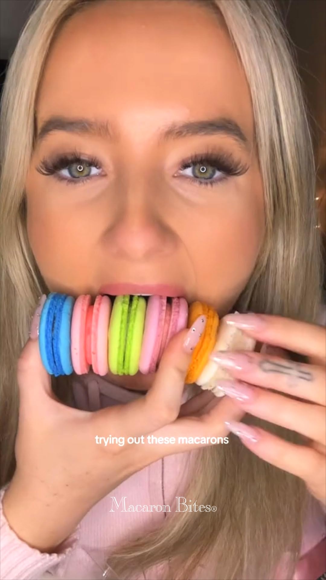 Macarons - Blueberry French Macarons 12 Pack, Gourmet Cookie Gift Box, Macaroon