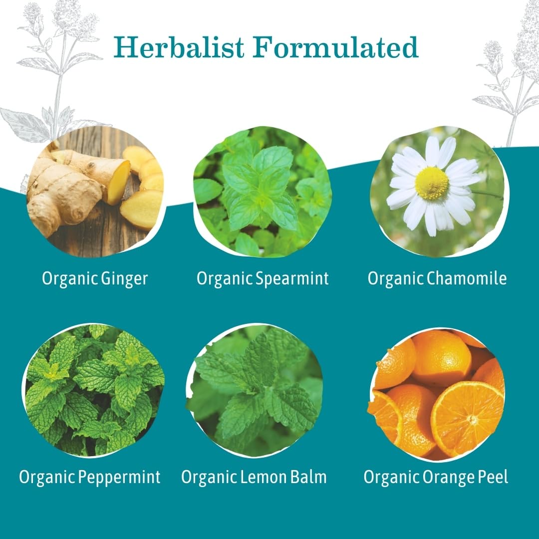 Earth Mama Organic Ginger Nausea Tea | Comforts Occasional Nausea + Morning Sickness, 16 Teabags Per Box