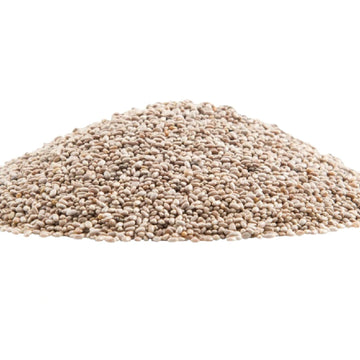 GERBS Raw White Chia Seeds 2 LBS. Premium Grade | Freshly Harvested & Packaged in Resealable Bulk Bag | Non-GMO, Keto & Paleo Cl