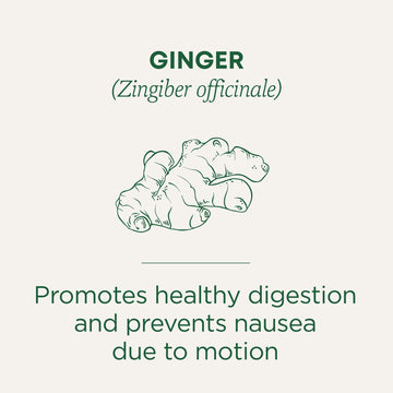 Traditional Medicinals Tea Ginger Organic 16 Bg