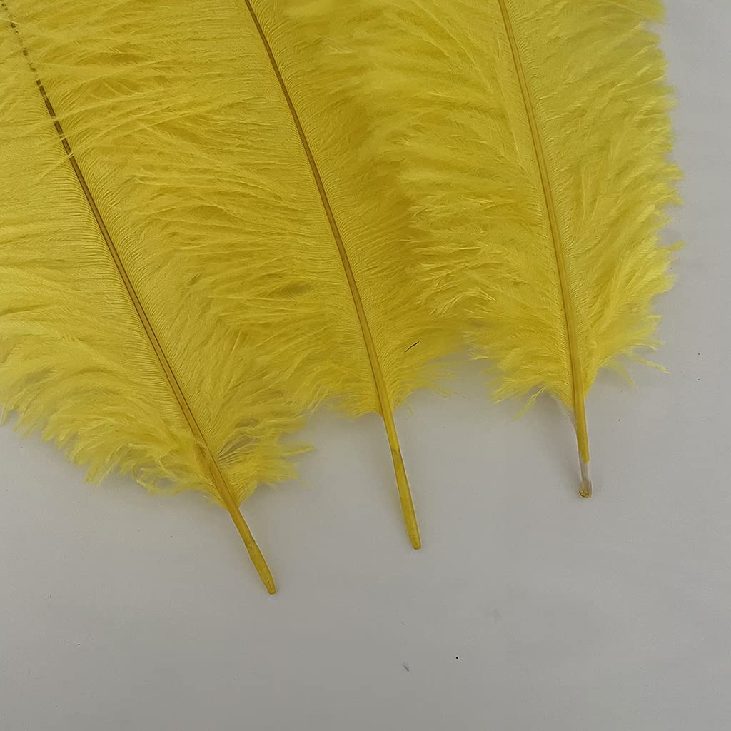 Londgen 10Pcs Natural Ostrich Feathers Plumes 14-16Inch(35-40Cm) For Craft Flower Arrangement Wedding Decoration And Halloween P
