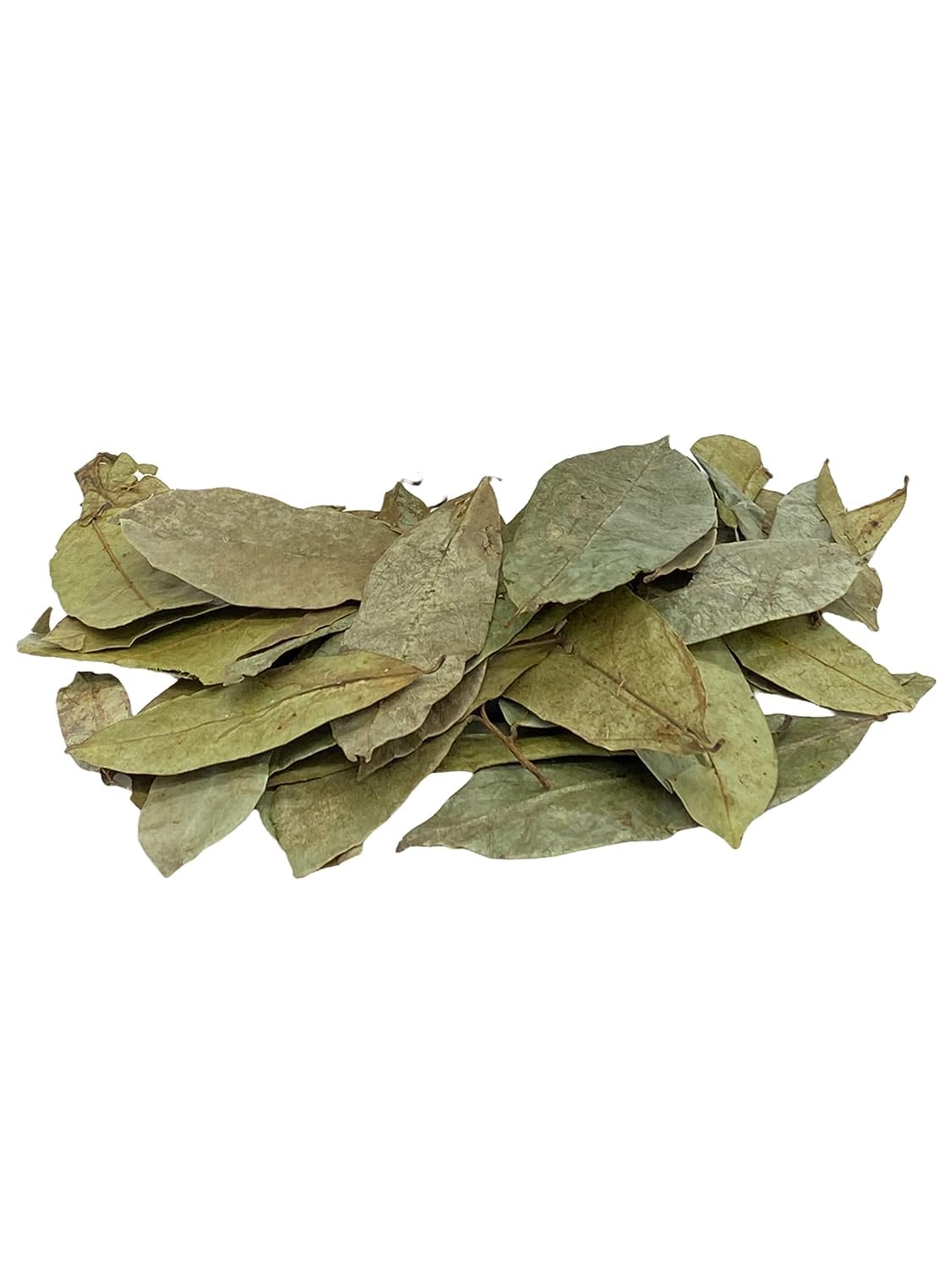 Yerbero Graviola Soursop Leaves - 4 oz (330+ Leaves) | 100% All Natural Fresh Tea | Premium Wildcrafted from Mexico