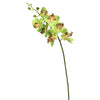 Vickerman Fa172205 Everyday Orchid Stem
