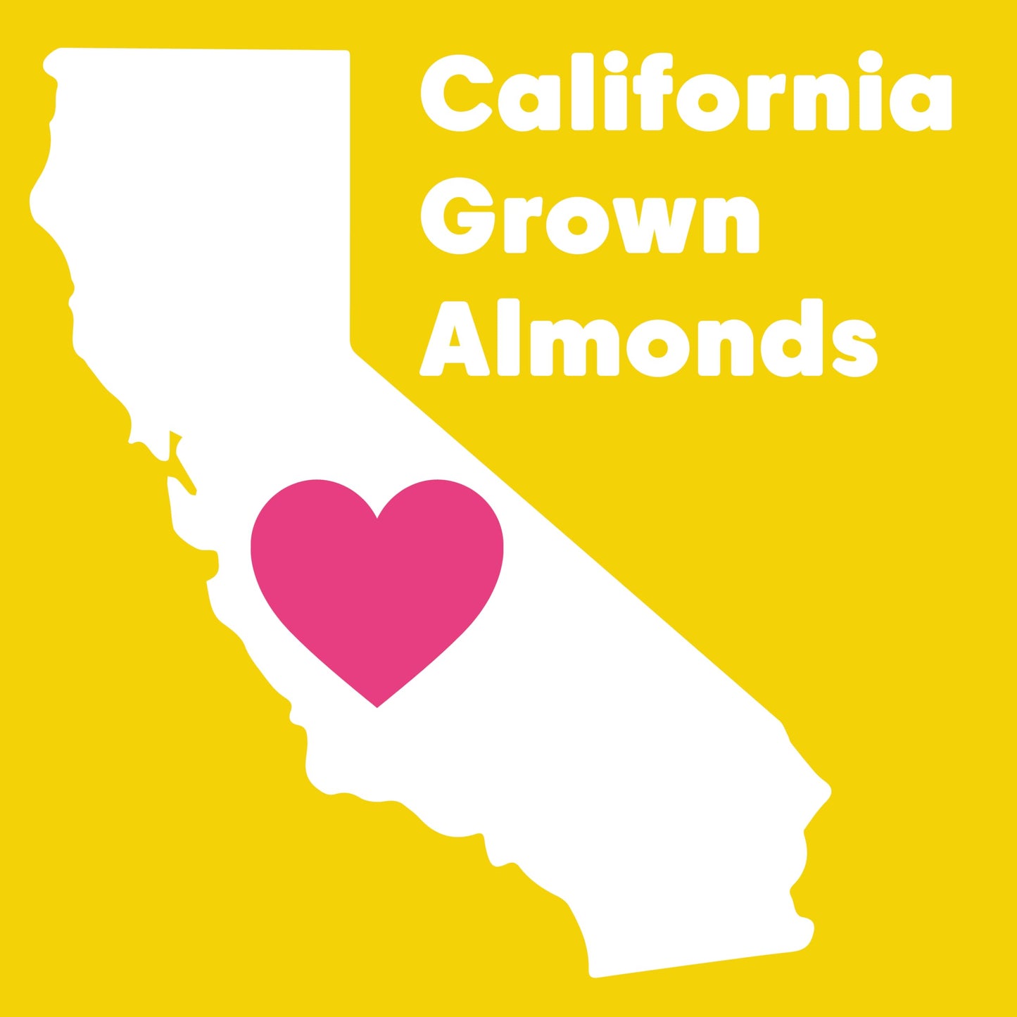 Wilderness Poets, Organic Almond Butter (40 Pound - 5 Gallon) - Raw, Unsweetened, Salt-Free, Vegan Nut Butter