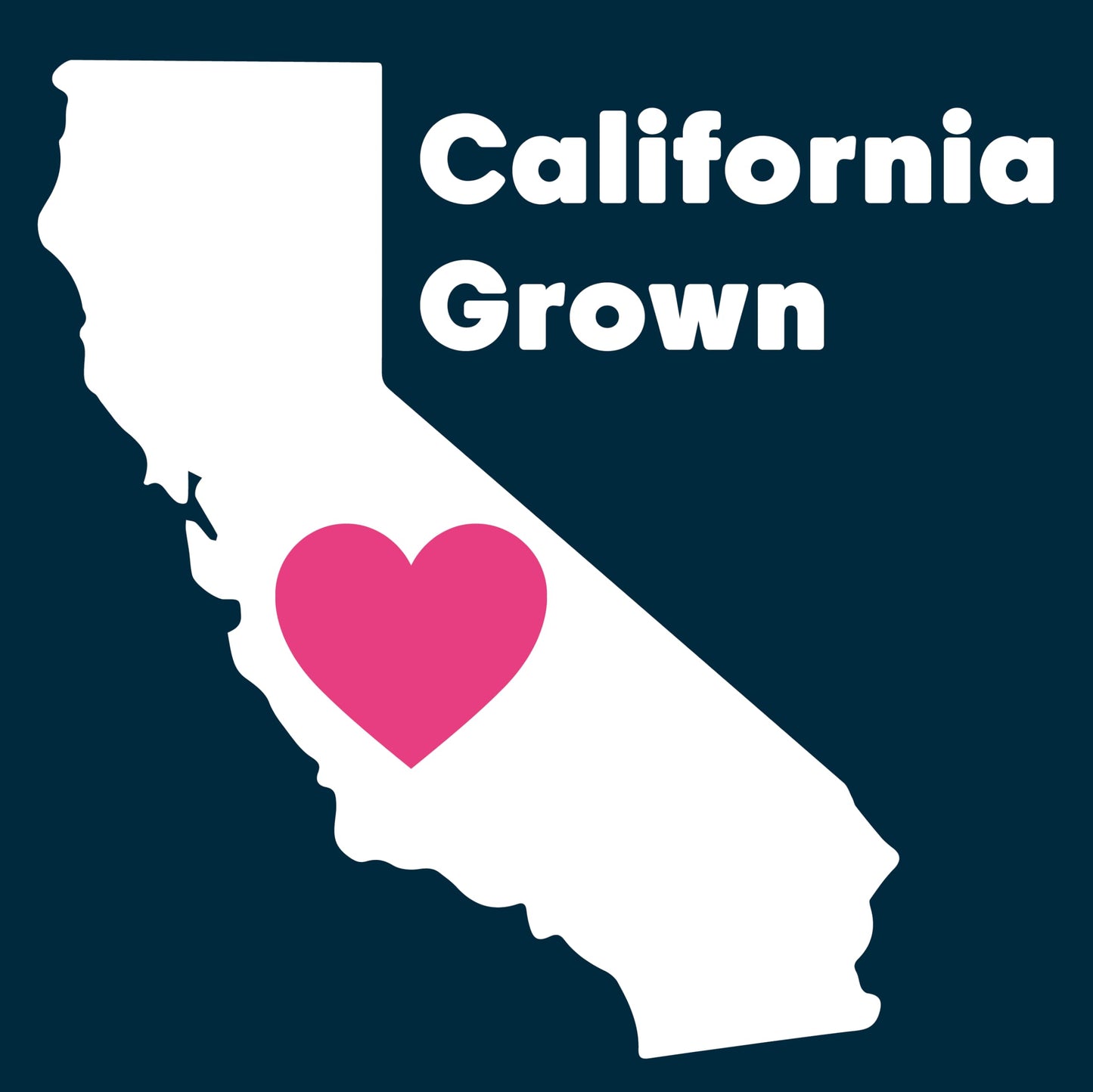 Wilderness Poets, Organic, Whole, Raw Pistachios - Grown In California, Fresh, Bright Green, Unsalted, Unroasted, Bulk Size - 5