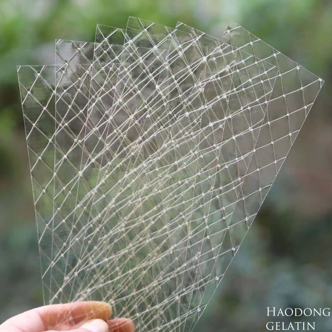 Haodong Beef Gold Leaf Gelatin Sheets - 1KG/2.2LBS (About 500Sheets) 200Bloom Gelatin Leaves for Mousse Mirror Glaze Cream Cake