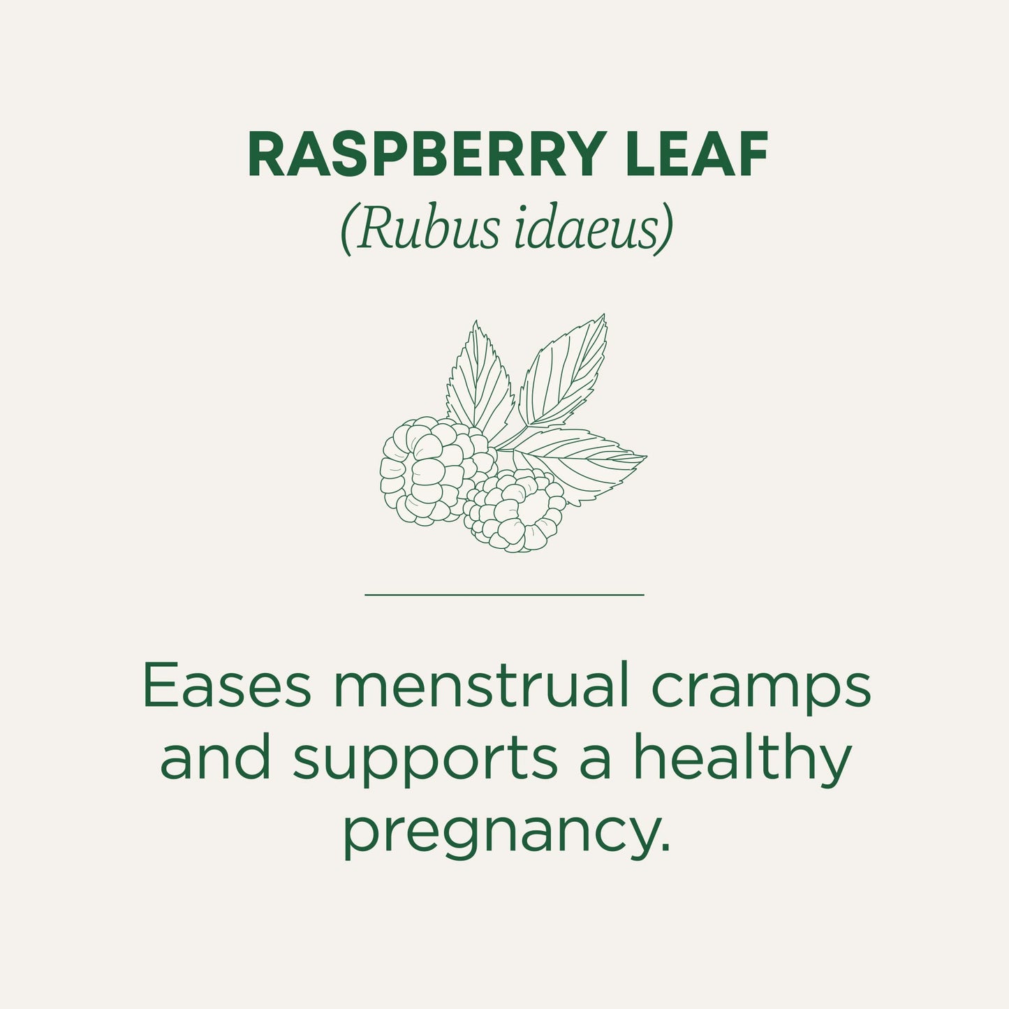 Organic Raspberry Leaf Tea, 16 Bags By Traditional Medicinals Teas