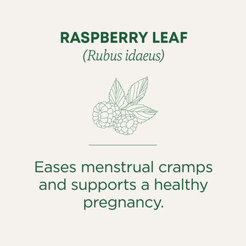 Organic Raspberry Leaf Tea, 16 Bags By Traditional Medicinals Teas