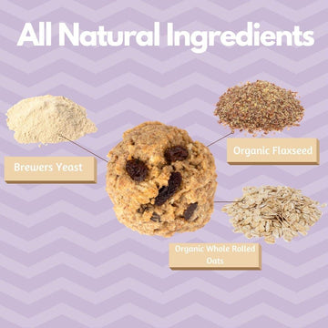 MilkBliss Lactation Cookies Mix, Oatmeal Raisin, 15oz, Breastfeeding Support, 1 Count