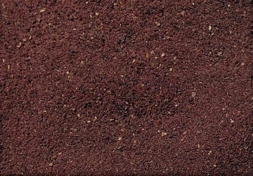 Majestic Herbs Black Ginger Powder | All Natural, Non-GMO | 100g (3.5oz) | Perfect for Teas, Coffee, Smoothies, Baking