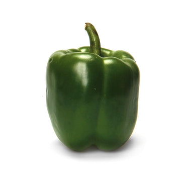 Organic Green Bell Pepper