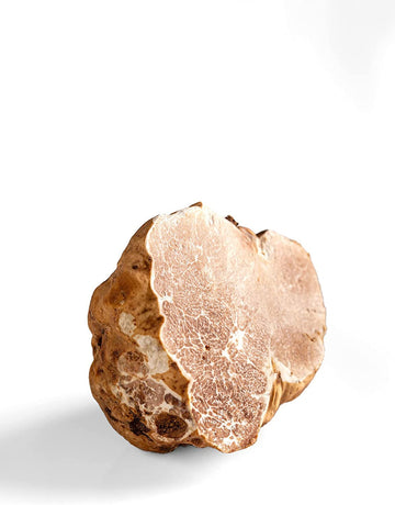 La Rustichella - White Truffle Pate - Small (90 g, 3.2 oz) - Kosher, Gluten Free