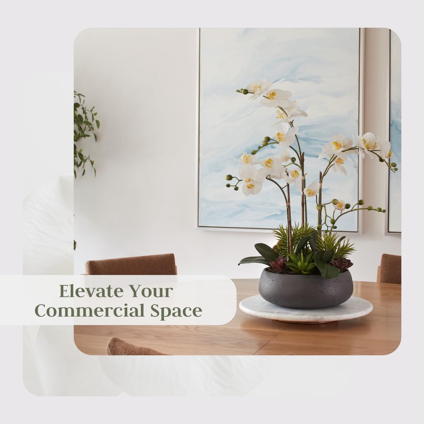 Cg Hunter Faux Orchid Plant W/Succulents, Premium Artificial Indoor Flower Display Stands 24 W/Beautiful Sculptural Blooms An