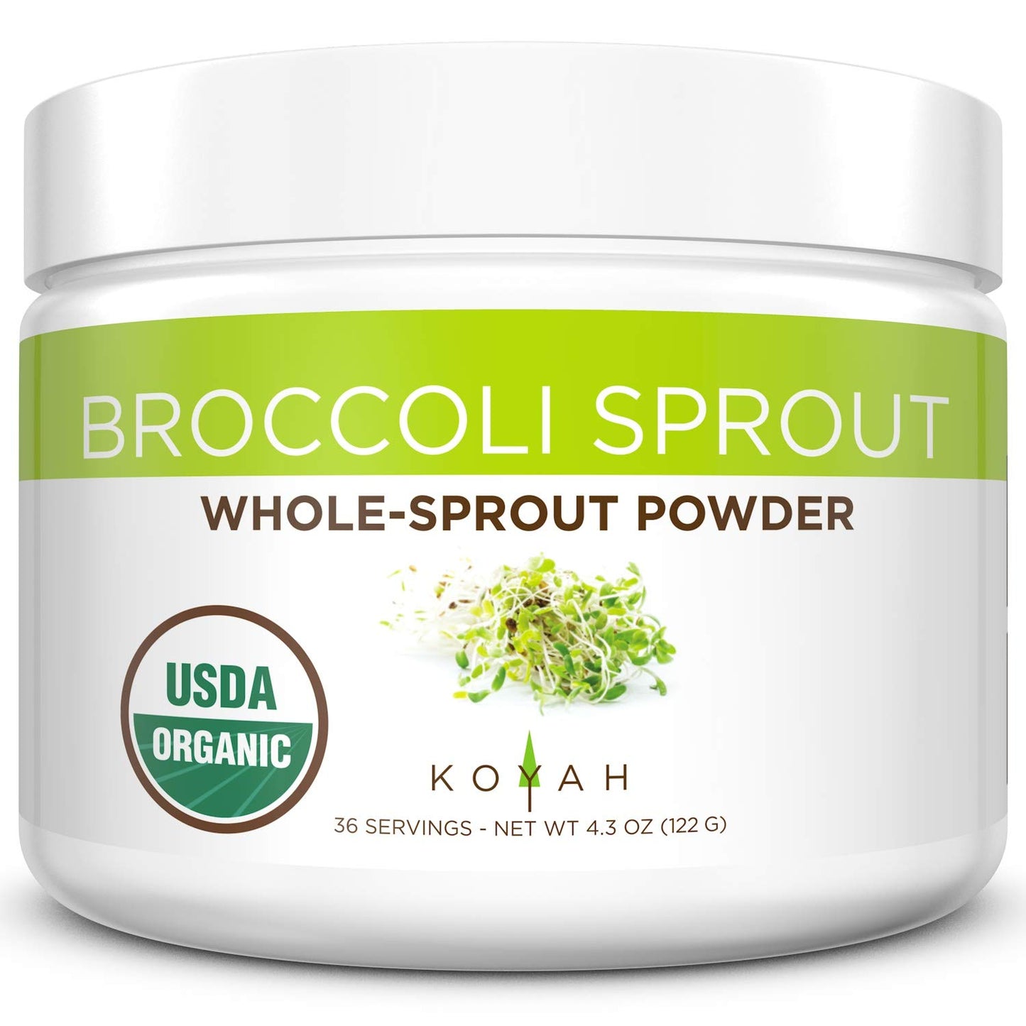 Koyah - Organic Broccoli Sprout Powder (1 Scoop 14 Cup Sprouts): 36 Servings, Freeze-Dried, Tested For Active Myrosinase And Gl