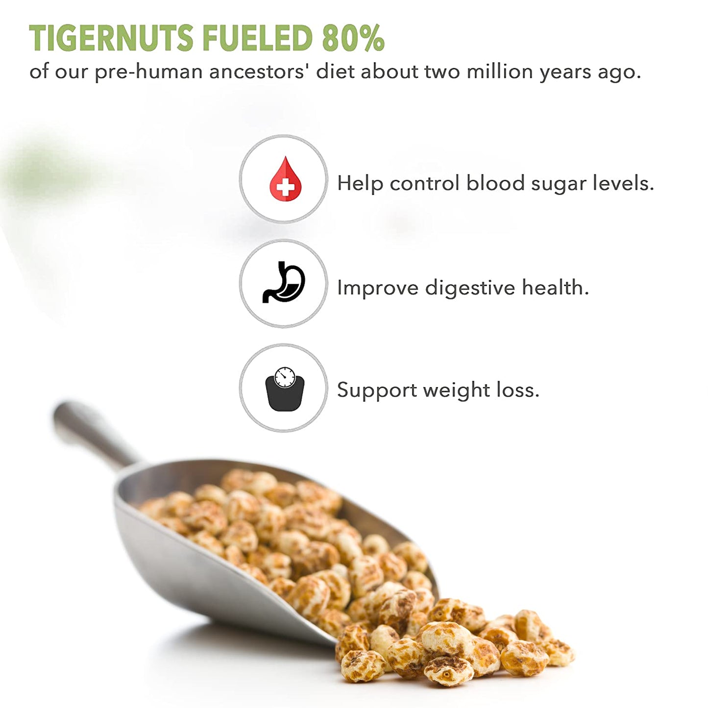 Skyland Kitchen Whole Organic Tigernuts, 16Oz Bag, Gluten-Free, Raw Snack. Edible Tubers, Free Of All Allergens.