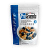 Julian Bakery ProGranola Cereal | Vanilla Cinnamon | 12g Protein | Paleo | 2 Net Carbs | Gluten-Free | Grain-Free | 15 Servings