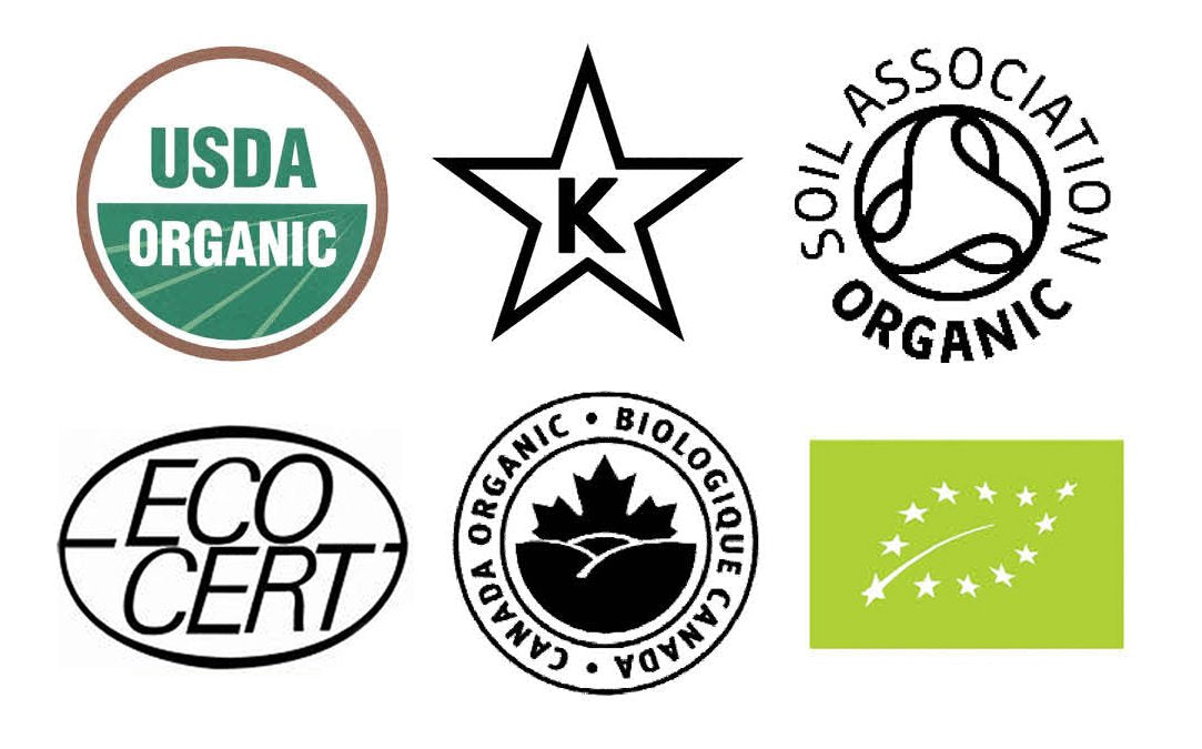 King Soba Organic 100% Buckwheat Noodles 8.8Oz