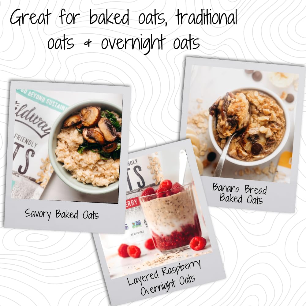 Wildway Organic Rolled Oats, Gluten-Free, Non-GMO, 9 Oz, Pack of 6