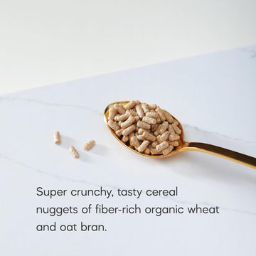 Natures Path Organic Smart Bran Cereal, 10.6 oz (Pack of 1), Non-GMO
