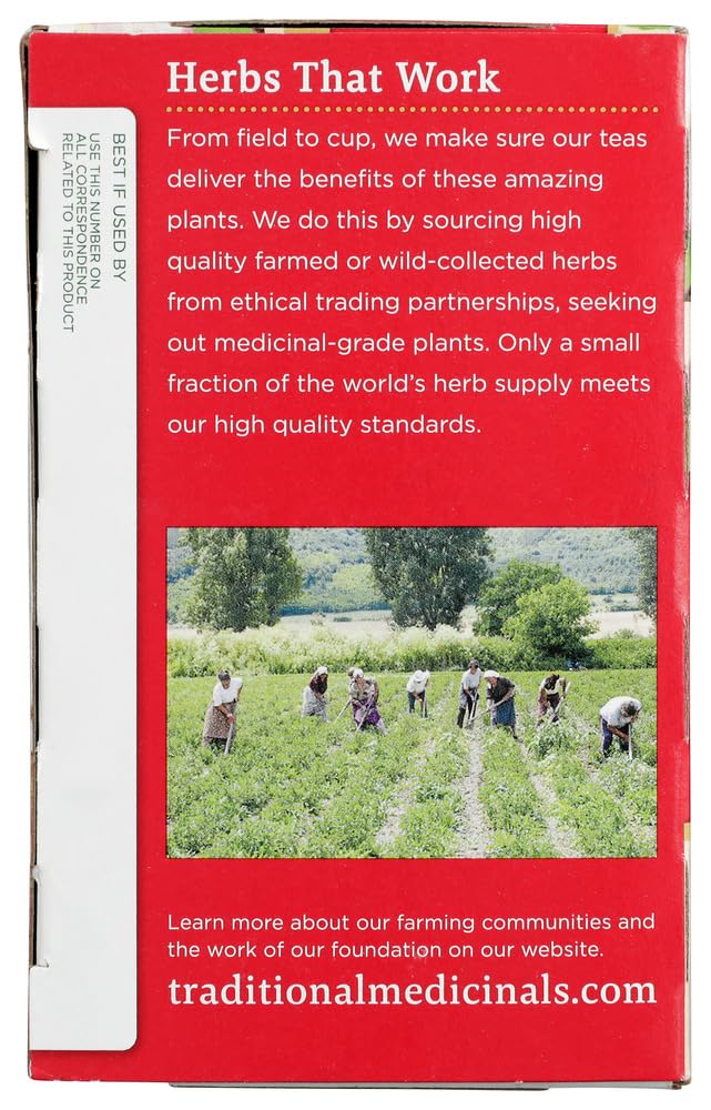 Traditional Medicinals Different Variations (16 Count (Pack Of 18), Eucalyptus Mint)