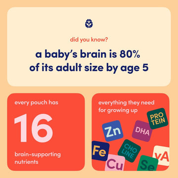 Cerebelly Organic Baby Food Pouches - 6+ Months Organic Chicken Bone Broth Pouches | Protein, Healthy Fats, Non-Gmo | Clean Baby