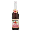 Martinellis Organic Sparkling Apple Pomegranate 25.4 Oz