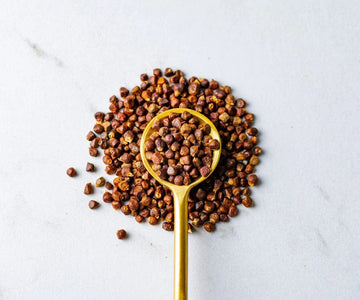 Savory Spice Grains Of Paradise - Alligator Pepper, Whole - Authentic Melegueta Pepper (Paradise Seeds) (Net: 2.65 Oz)